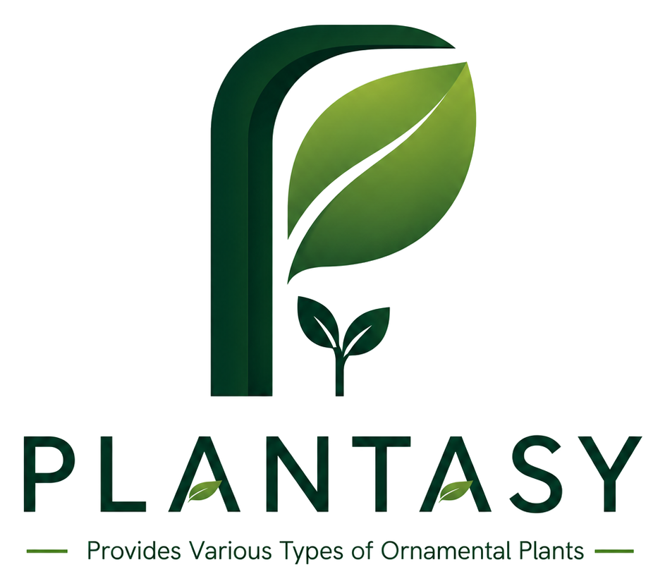 Plantasy