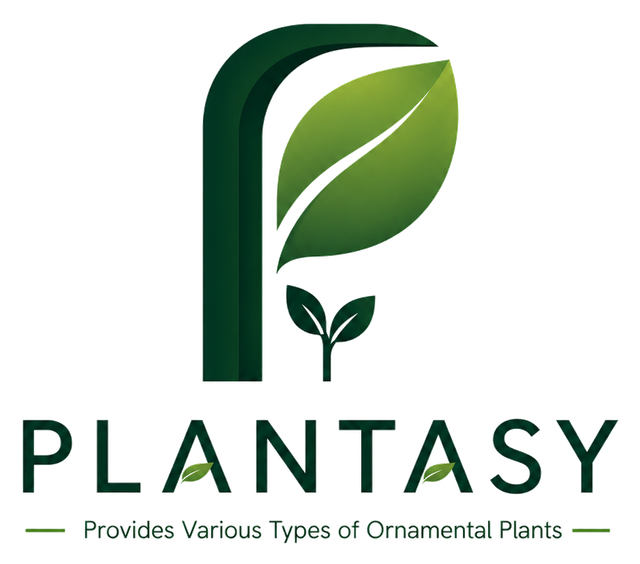 Plantasy ornamental plant unit